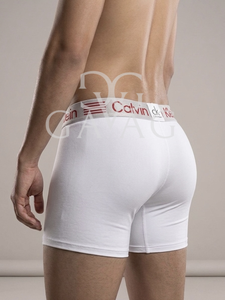 Boxer Hombre (x12) Paquete Surtido microfibra - Multimarca Ropa Interior