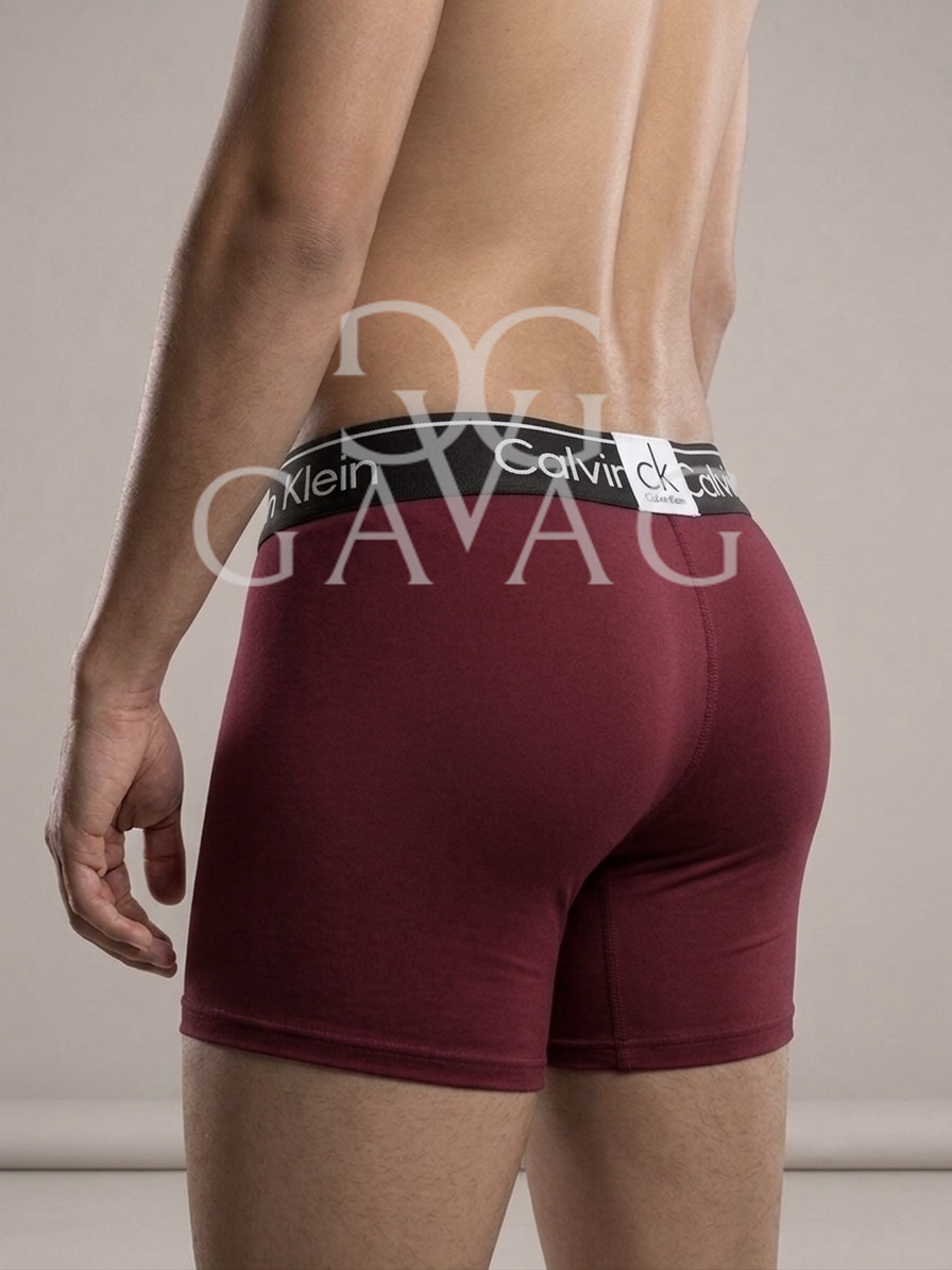 Boxer Hombre (x12) Paquete Surtido microfibra - Multimarca Ropa Interior