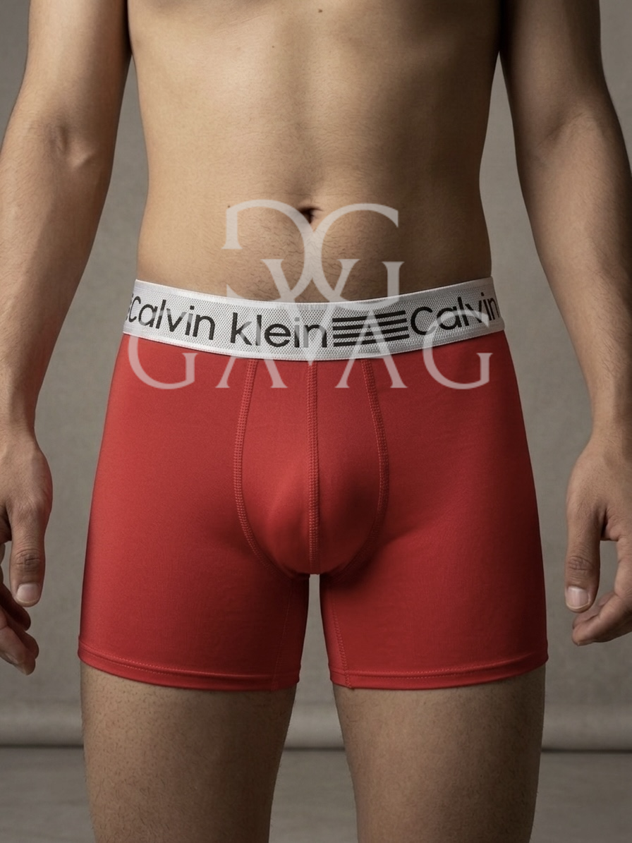 Boxer Hombre (x12) Paquete Surtido microfibra - Multimarca Ropa Interior