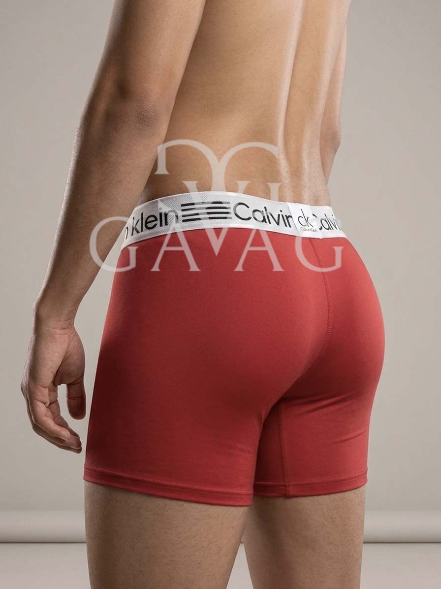Boxer Hombre (x12) Paquete Surtido microfibra - Multimarca Ropa Interior