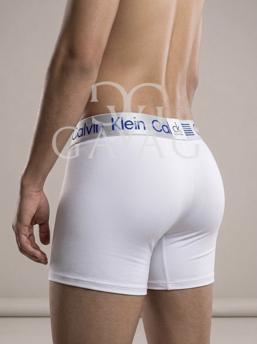 Boxer Hombre (x12) Paquete Surtido microfibra - Multimarca Ropa Interior